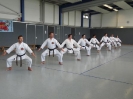 SpringCamp 2014