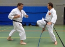 SpringCamp 2014