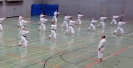 SpringCamp 2014