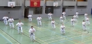 SpringCamp 2014