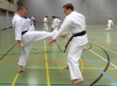 SpringCamp 2014