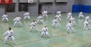 SpringCamp 2014
