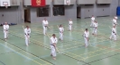 SpringCamp 2014