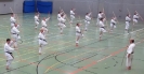 SpringCamp 2014