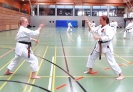 SpringCamp 2014