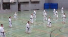 SpringCamp 2014