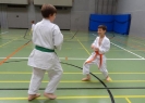 SpringCamp 2014