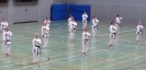 SpringCamp 2014