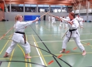 SpringCamp 2014