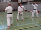 SpringCamp 2014