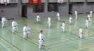 SpringCamp 2014