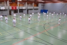 SpringCamp 2014