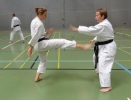 SpringCamp 2014