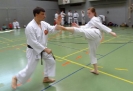 SpringCamp 2014