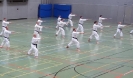 SpringCamp 2014