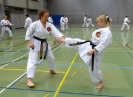 SpringCamp 2014
