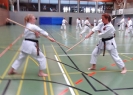 SpringCamp 2014
