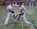 SpringCamp 2014