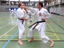 SpringCamp 2014