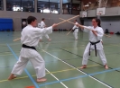 SpringCamp 2014
