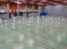 SpringCamp 2014