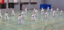 SpringCamp 2014