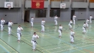SpringCamp 2014