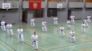 SpringCamp 2014