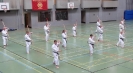 SpringCamp 2014