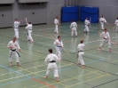 SpringCamp 2014
