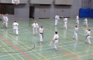 SpringCamp 2014