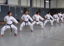 SpringCamp 2014