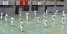 SpringCamp 2014