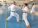 GASSHUKU (HU) 2014-105