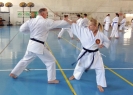 GASSHUKU (HU) 2014-106
