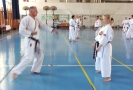 GASSHUKU (HU) 2014-107
