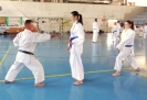 GASSHUKU (HU) 2014-109
