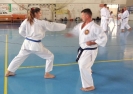 GASSHUKU (HU) 2014-112