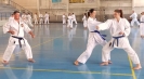 GASSHUKU (HU) 2014-113