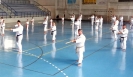 2014.08.01~03, GASSHUKU (HU)