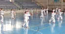 GASSHUKU (HU) 2014-123