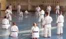 GASSHUKU (HU) 2014-127