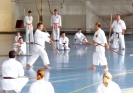 GASSHUKU (HU) 2014-129