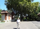 GASSHUKU (HU) 2014-1