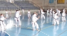 GASSHUKU (HU) 2014-36