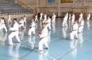 GASSHUKU (HU) 2014-39