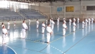 GASSHUKU (HU) 2014-43
