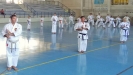 GASSHUKU (HU) 2014-64