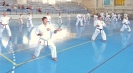 GASSHUKU (HU) 2014-65