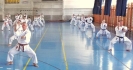 GASSHUKU (HU) 2014-66